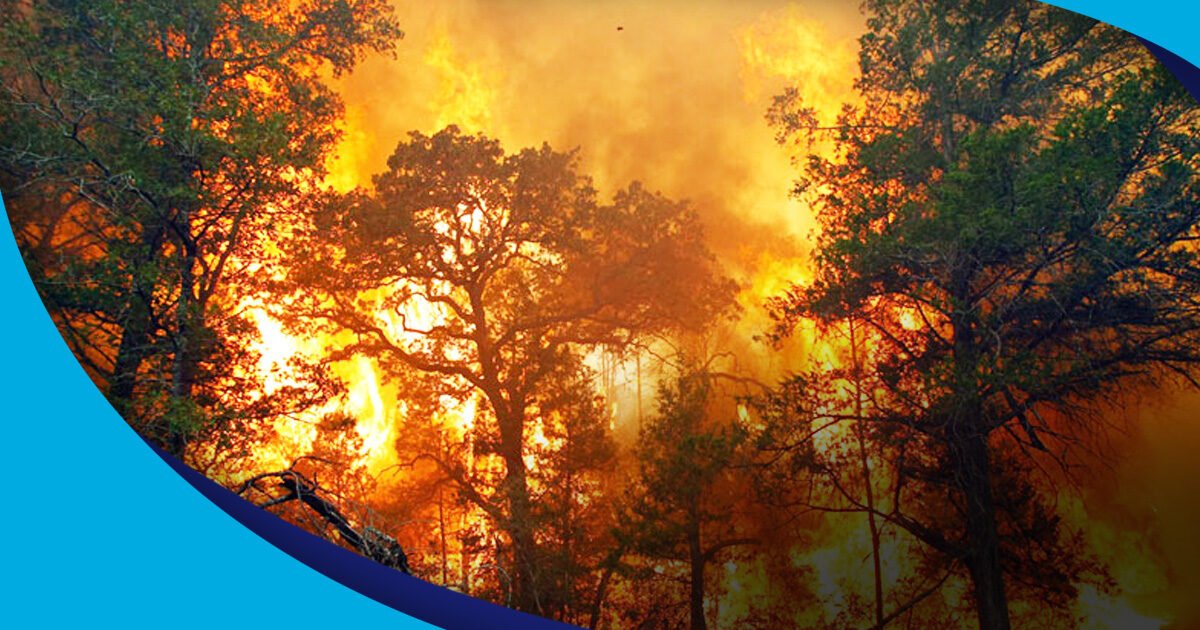 KARHUTLA - Pantauan BMKG Pekanbaru menunjukkan terdapat 259 titik panas di Riau.